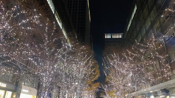 Photo, winter, night view, illumination, 