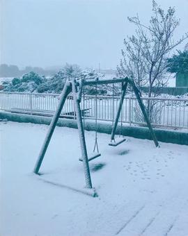 関東の雪 関東の雪 雪,寒い,冬の写真素材