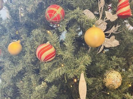 クリスマスツリー クリスマス,クリスマスツリー,ツリーの写真素材