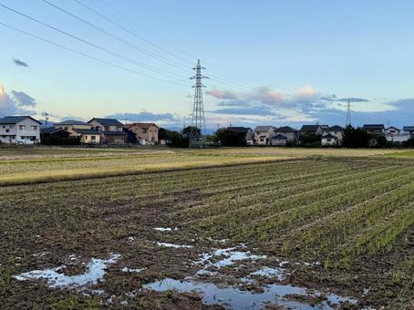 晩秋の田舎の夕暮れ　福井県あわら市 冬,地方,晴れの写真素材