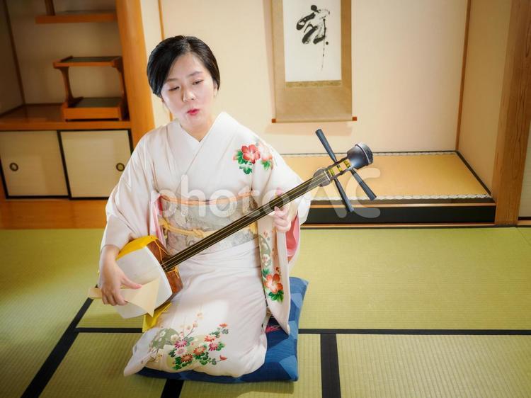 33：三味線を演奏する和服の女性 三味線,着物,伝統芸能の写真素材