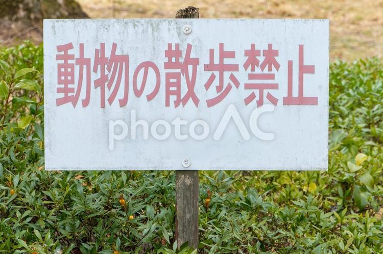 動物の散歩禁止の案内板 看板,禁止,動物の写真素材