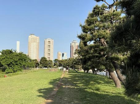 2025年春 昼間の東京お台場の風景 2025年春 昼間の東京お台場の風景 都心,さわやか,りんかい線の写真素材