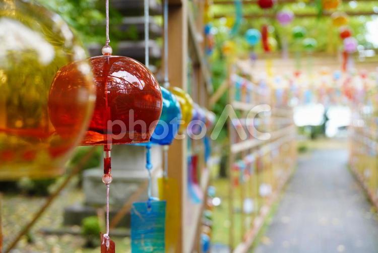 西教寺の風鈴 風鈴,カラフル,風物詩の写真素材