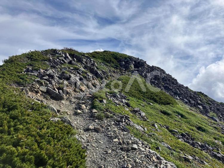 夏の荒川前岳へ登山51 南アルプス,悪沢岳,荒川岳の写真素材