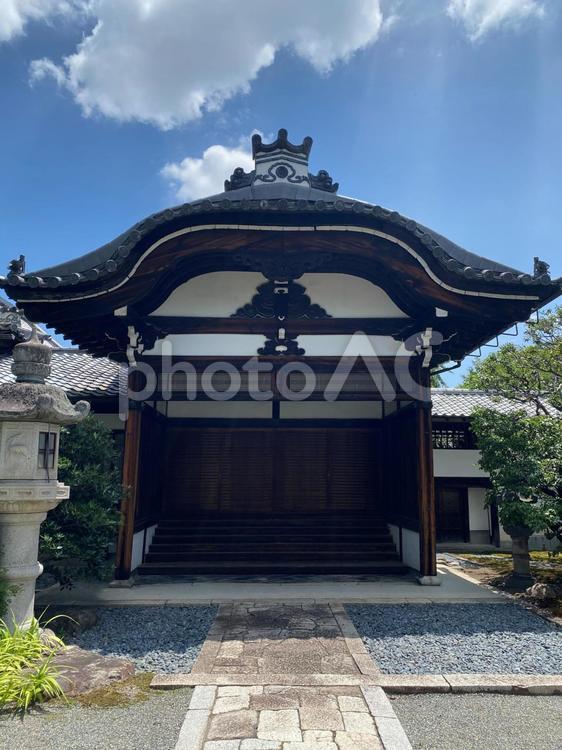 京都・妙顕寺の境内にて 妙顕寺,京都,上京区の写真素材