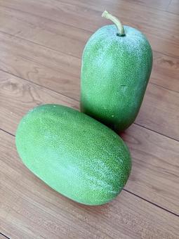 冬瓜② 冬瓜② 冬瓜,野菜,夏野菜の写真素材