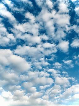 うろこ雲と青空 うろこ雲と青空 蒼い空,晴天,きれいな空の写真素材