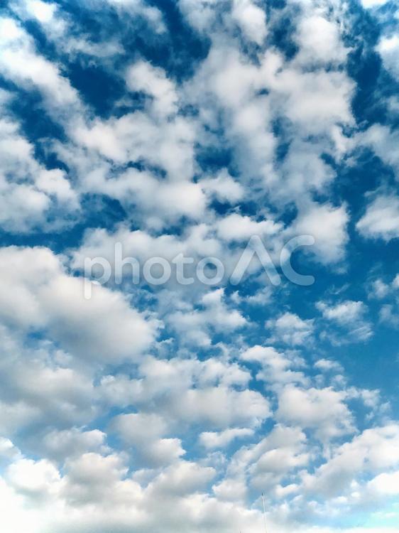 うろこ雲と青空 蒼い空,晴天,きれいな空の写真素材