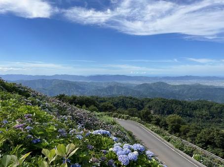 大川原高原 大川原高原 徳島県,佐那河内,大川原高原の写真素材