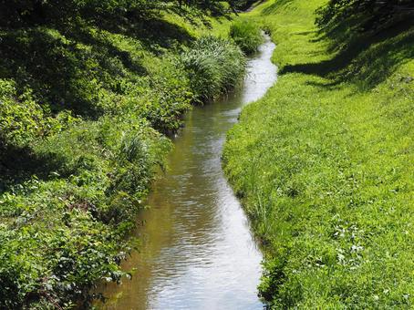 春の水辺　小さな川② 小川,川,水辺の写真素材