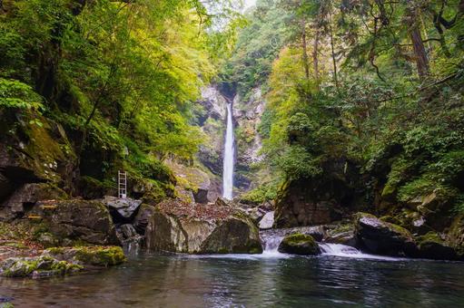 根尾の滝 秋( 飛騨小坂) 根尾の滝 秋( 飛騨小坂) 根尾の滝,渓流,渓谷の写真素材