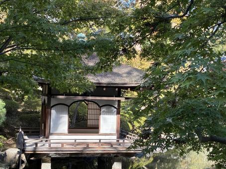 西の丸庭園　紅葉渓庭園　鳶魚閣 鳶魚閣,西の丸庭園,紅葉渓庭園の写真素材