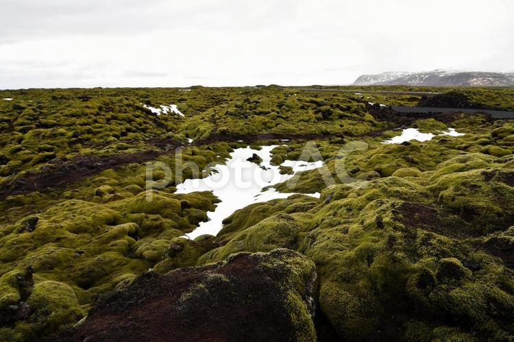 苔と溶岩と残雪が広がるアイスランドの風景 アイスランド,苔,溶岩の写真素材