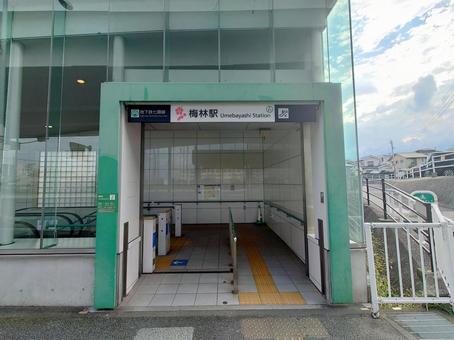 福岡市地下鉄七隈線「梅林駅」  梅林駅,七隈線,駅の写真素材