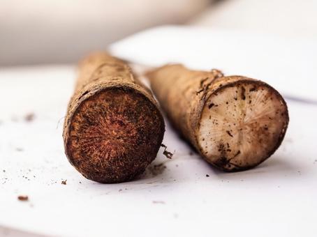 ゴボウ 野菜 ゴボウ 野菜 ゴボウ,野菜,食べ物の写真素材