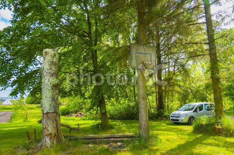 デンマークの田舎の景色みどりいっぱい 高原,緑,田舎の写真素材