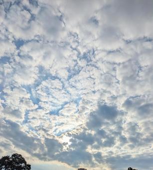 空2。 空2。の写真