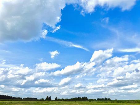 広い空の写真