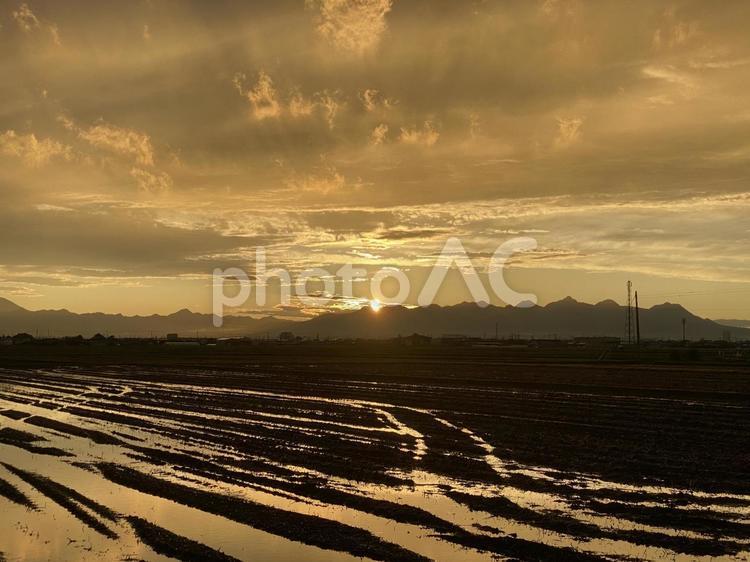 田んぼと夕焼けの太陽 田んぼ,自然,美しいの写真素材