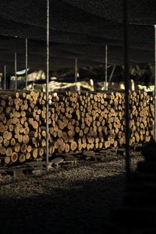 Photo, salary, firewood repository, log, 