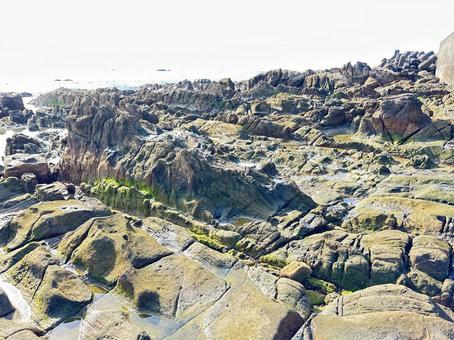 三輪崎海岸　鈴島 磯,輪崎海岸,鈴島の写真素材