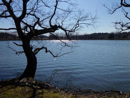 Landscape at the waterside, reflection, winter, natural, JPG