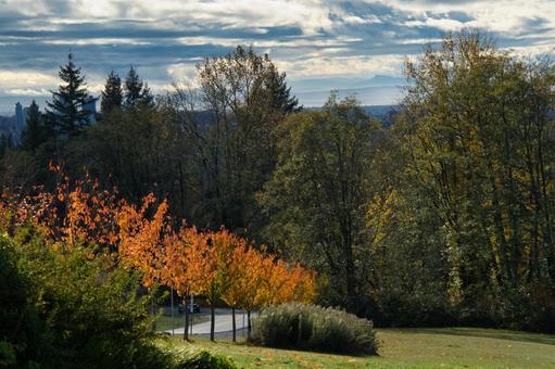 美しい紅葉の秋晴れの日　　　カナダ 紅葉,秋晴れ,美しいの写真素材