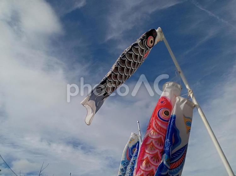空を泳ぐこいのぼり 空,風景,鯉の写真素材