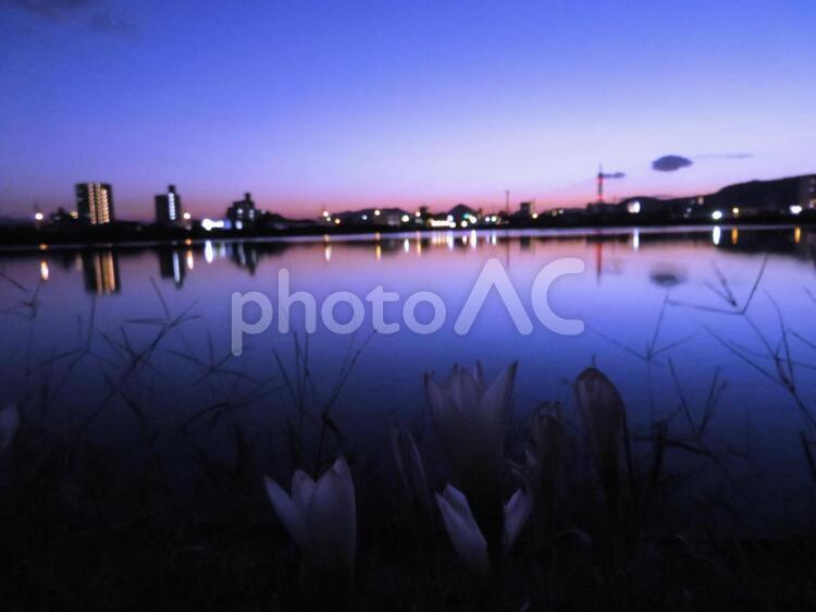 秋の夕焼け 背景,夕焼け,秋の写真素材