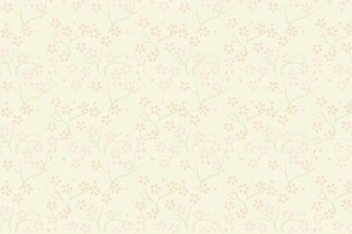 Photo, JPG Photo, background, cherry blossoms, flower, JPG
