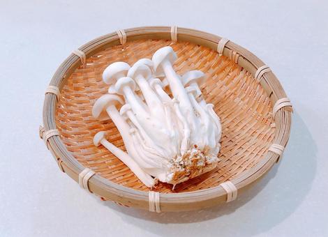 ホワイトしめじ ホワイトしめじ ホワイトしめじ,しめじ,シメジの写真素材