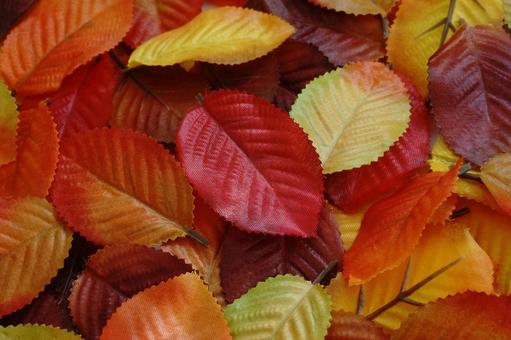 落ち葉 落ち葉 落ち葉,枯れ葉,紅葉の写真素材