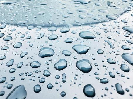 雨水 水滴 雫 雨水 水滴 雫 滴,雨,雨粒の写真素材