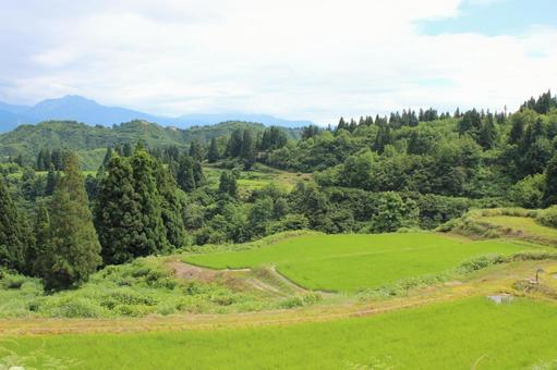 新潟魚沼 棚田と雲 新潟魚沼 棚田と雲の写真