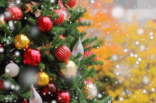 クリスマス モミの木 クリスマス モミの木 クリスマス,冬,モミの木の写真素材