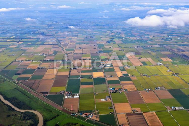 空からの北海道・農村地帯の風景 北海道,空,畑の写真素材