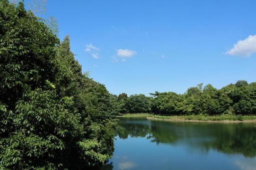 青空と池 青空と池 池,湖,空の写真素材