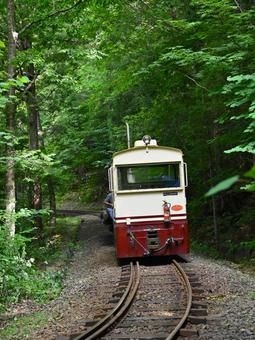 Photo, akazawa forest railway, akazawa natural recreation forest, japan&#39;s three major forests, 