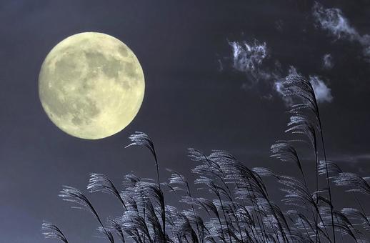 秋イメージ素材/中秋の名月・お月見 中秋の名月,満月,十五夜の写真素材