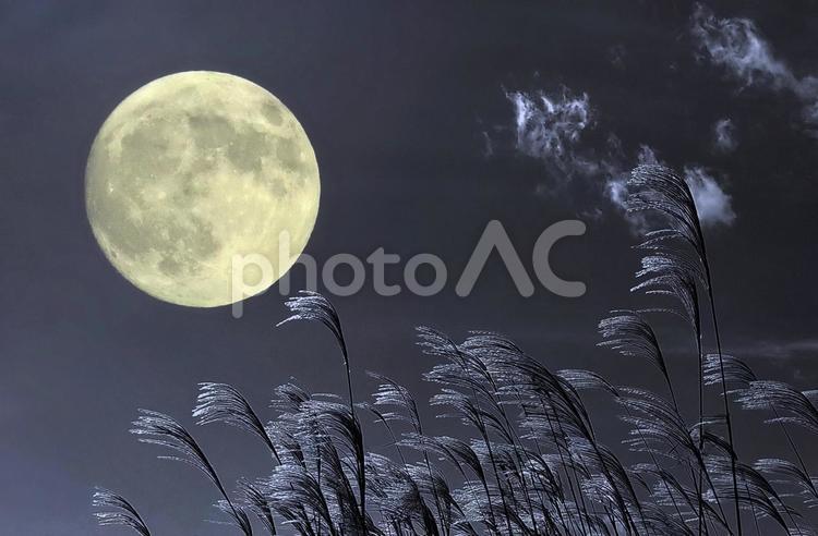 秋イメージ素材/中秋の名月・お月見 中秋の名月,満月,十五夜の写真素材