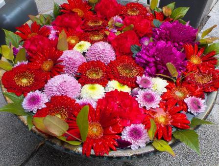 色鮮やかな花手水 花びら,フラワー,自然の写真素材