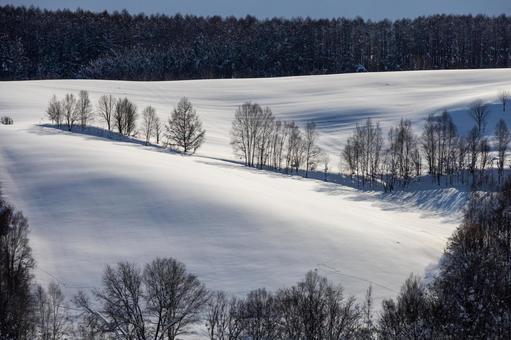 冬の牧場に光と影がなだらかに描く丘の陰影 冬晴れ,丘,樹木の写真素材
