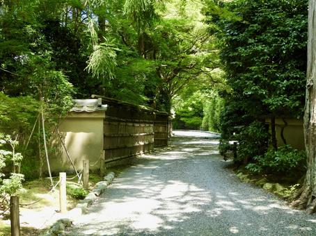国名勝龍安寺庭園の散策路 国名勝龍安寺庭園の散策路 龍安寺庭園,龍安寺,鏡容池の写真素材