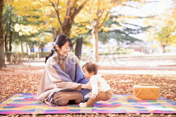 秋の公園で遊ぶ赤ちゃんとママ 赤ちゃん,抱っこ,ピクニックの写真素材