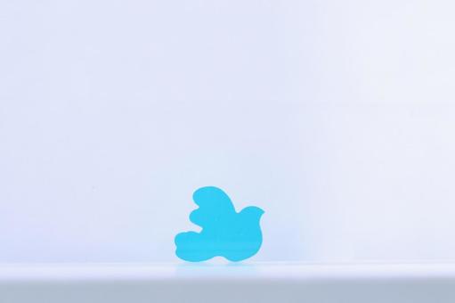 Photo, bird, colorful, piece, 