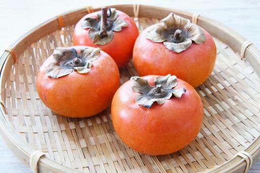 柿　収穫 柿,秋,秋の味覚の写真素材