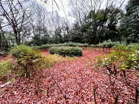 天理市にある中山大塚古墳の墳頂 古墳,奈良,邪馬台国の写真素材