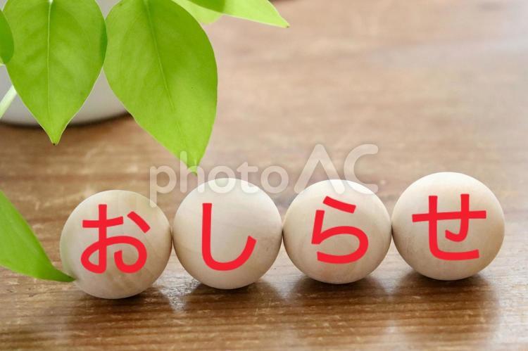 木のボール　おしらせイメージ お知らせ,文字,イメージの写真素材