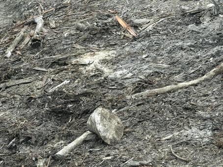 死地 死地 死地,無,死の写真素材
